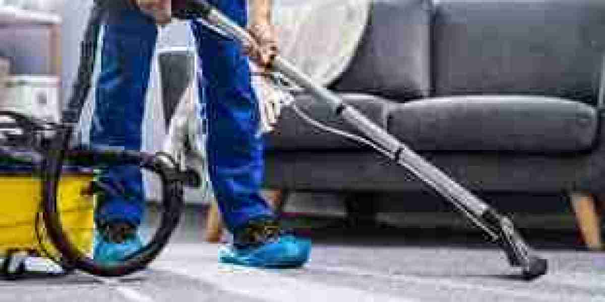 Why Carpet Cleaning Services Are a Must After Renovation