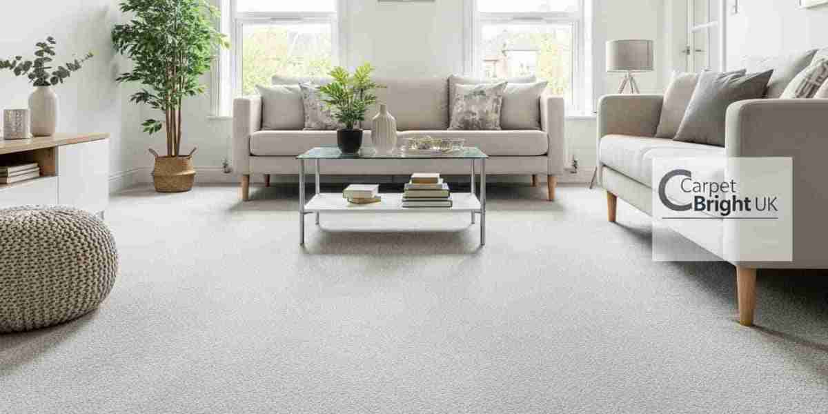 Carpet Cleaning Services That Remove Pet Hair and Food Stains
