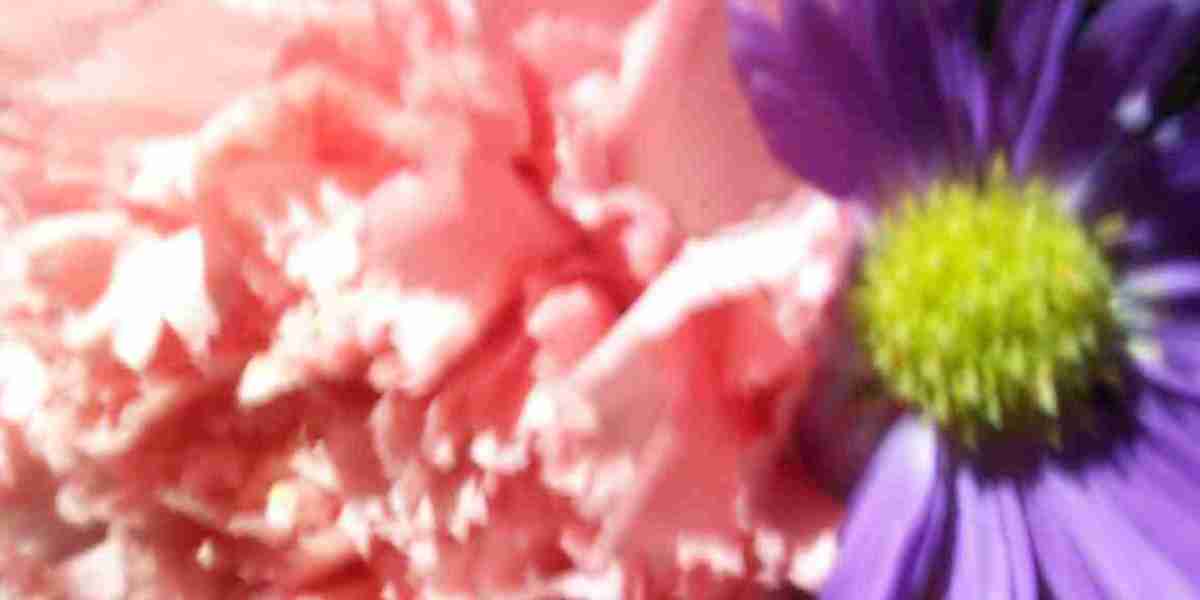 Discover Exciting Bonuses & Offers