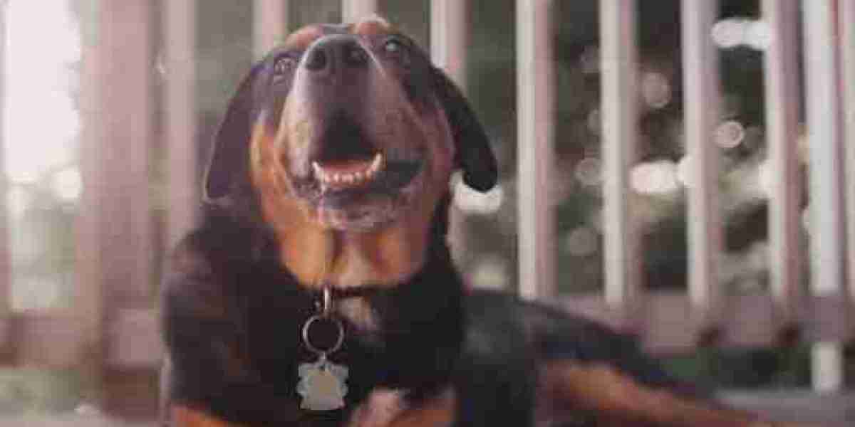 How To Play Bet9ja Online - Bet on Bet9ja