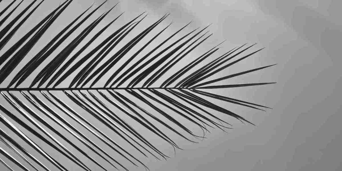 Tubs march ten seo of channel