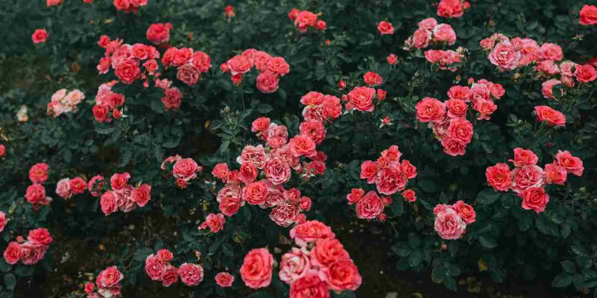 EZNPC Tips Is Path of Exile Still Worth Playing in 2026