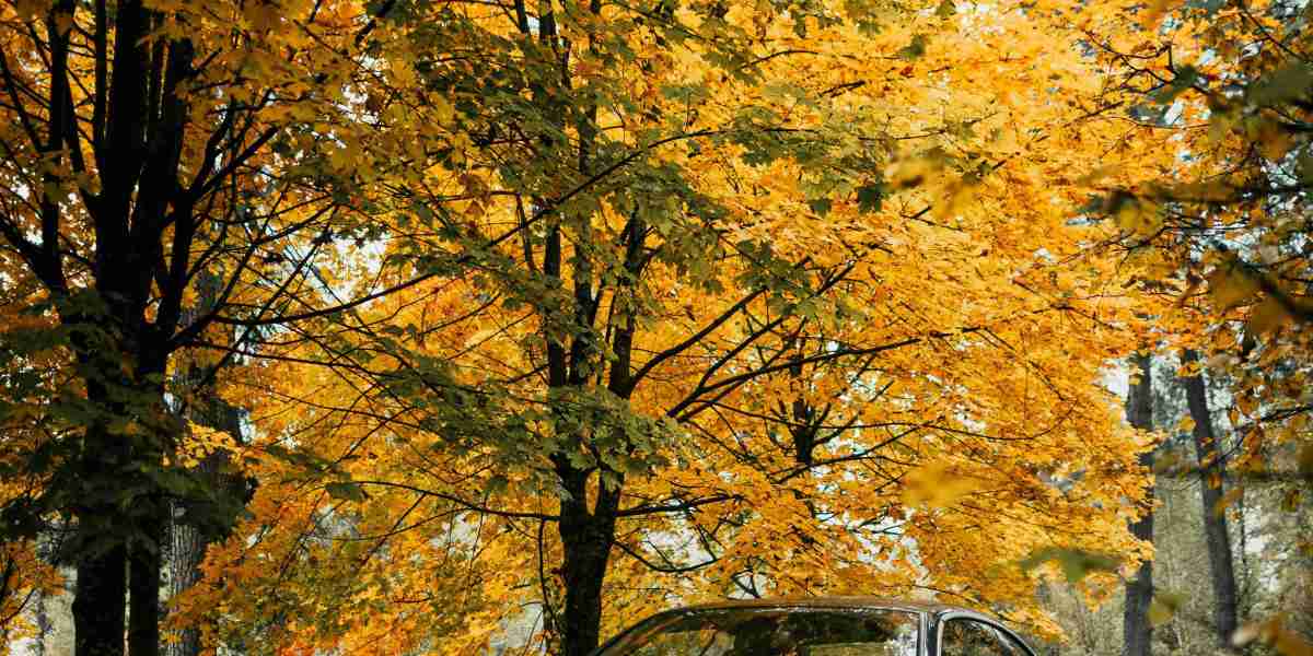 U4GM Guide PoE 3.28 Launch Countdown and Starter Builds 2026