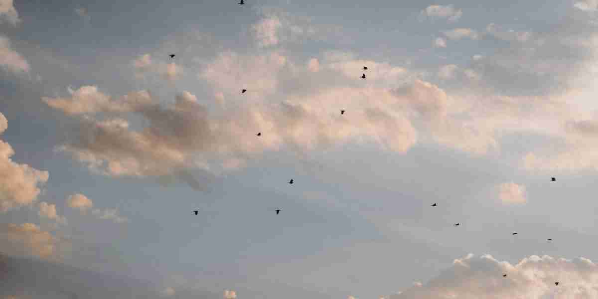 eznpc ARC Raiders Dam Leapers guide and why they matter