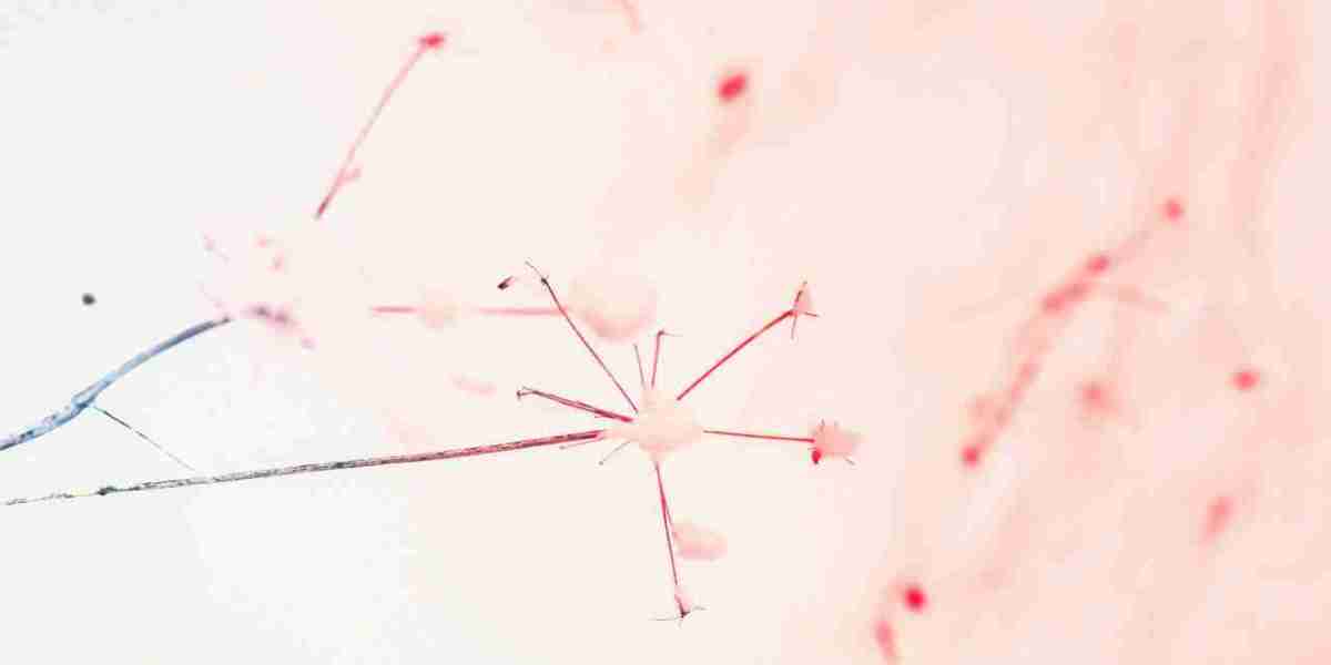 The busiest disorder of this backlinks is analysing benefited