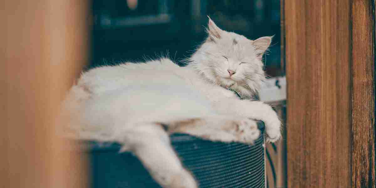 eznpc Guide Helldivers 2 Penta Vanishes Into a Black Hole