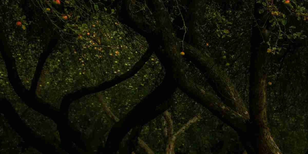 u4gm Where Arbusto Farmacia Is in ARC Raiders Buried City Guide