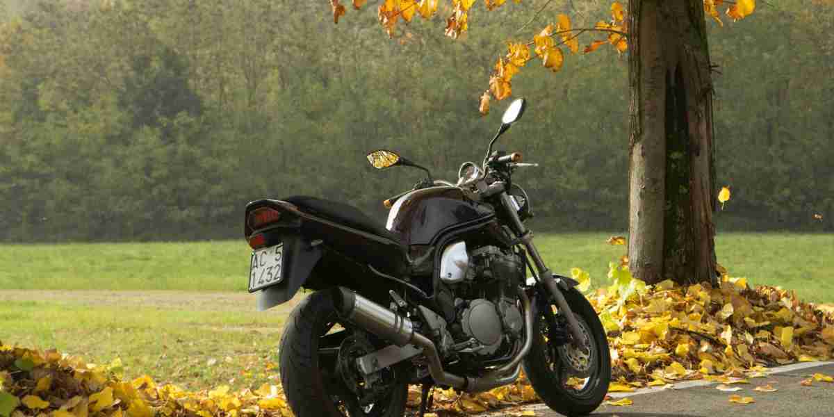 EZNPC Where to Start PoE in 2026 and Why Its Worth It